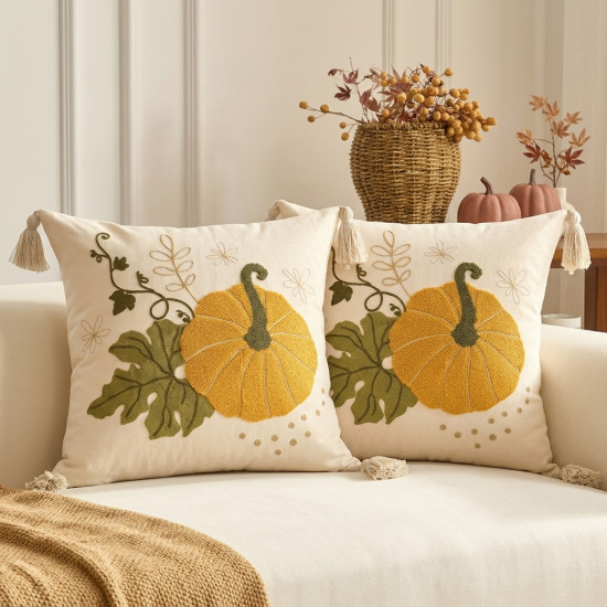 Cushion